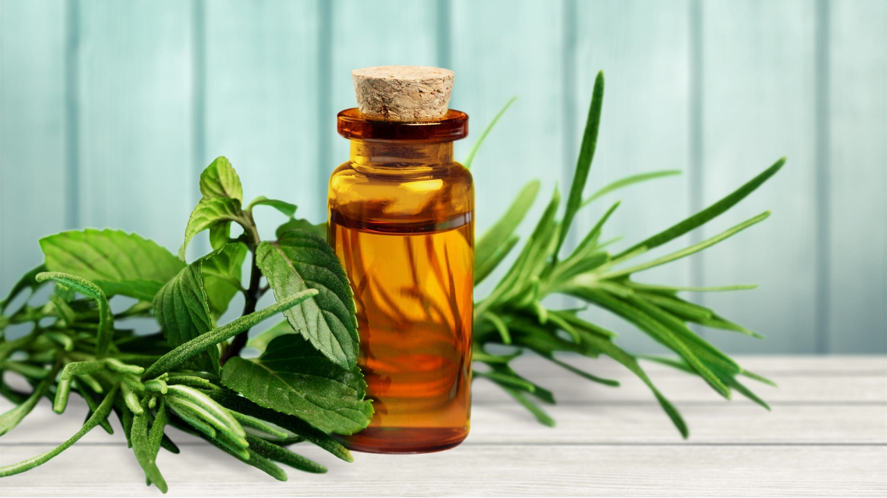 NO GUNK Ingredients Index: Tea Tree Oil (Melaleuca Alternifolia Leaf Oil).