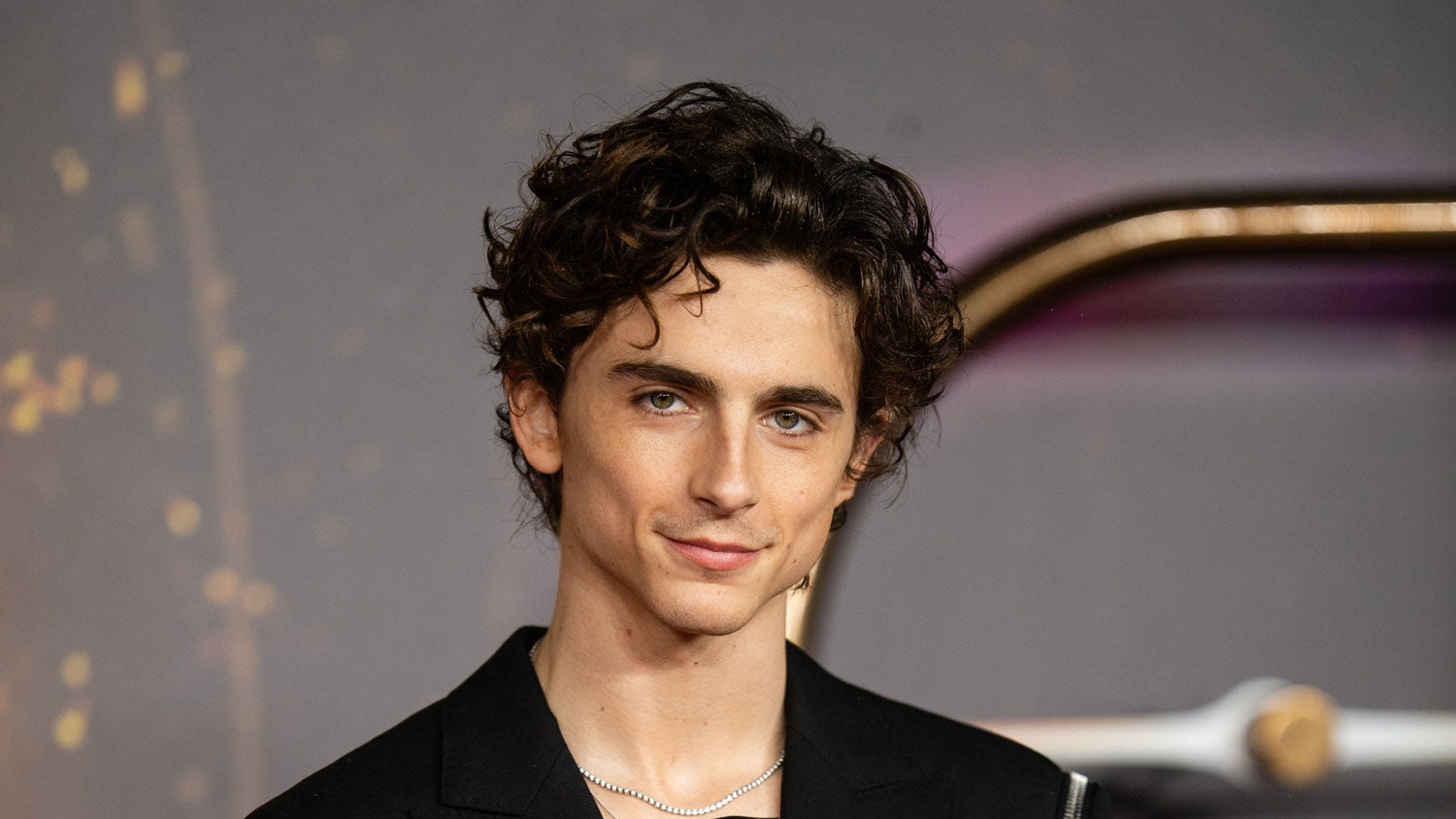 This Is How You Get Hair to Look Like Timothée Chalamet's