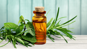 NO GUNK Ingredients Index: Tea Tree Oil (Melaleuca Alternifolia Leaf Oil). 